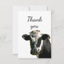 Search for kine cards Holstein
