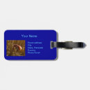 Search for nemo Scuba