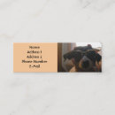 Search for terrier business cards Jack russell terrier