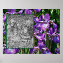 Search for purple iris posters Flower