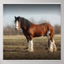 Search for draft horse art Clydesdale