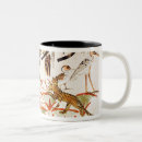 Search for marsh mugs Duck