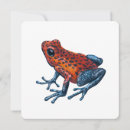 Search for darts cards Amphibian