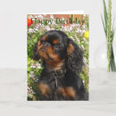 Search for charles spaniel cards King