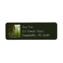 Search for rocks return address labels Nature