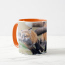 Search for baby fox mugs Nature