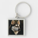 Search for husky key rings Dogs