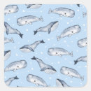 Search for whale illustration stickers Pattern
