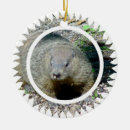 Search for groundhog christmas tree decorations Animal
