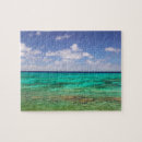 Search for turks and caicos puzzles Environment