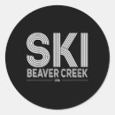 Search for usa ski stickers Skier