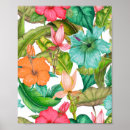 Search for hawaiian posters Colourful