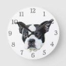 Search for boston terrier clocks Pets