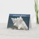 Search for conch shell cards Ocean