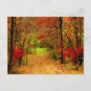Search for forest path postcards Thanksgiving