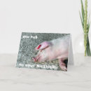 Search for pig cards Farm