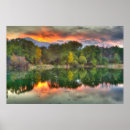 Search for pike art Nature