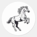 Search for white stallion stickers Equestrian