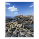 Search for antrim art Nature