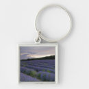 Search for agricultural key rings Cropland