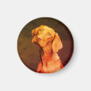 Search for vizsla magnets Cute