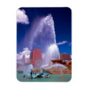 Search for buckingham magnets Chicago