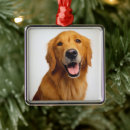 Search for golden retriever gifts Smile portrait