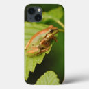 Search for discovery cases Green