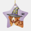 Search for trick or treat christmas tree decorations Halloween