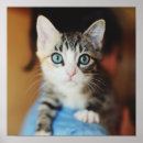 Search for blue eyed cat posters Cute