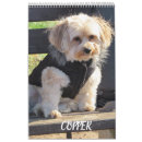 Search for breeding photography Mixed breed