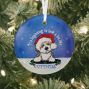 Search for havanese christmas tree decorations Dog