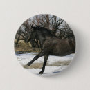 Search for mustangs badges Bob langrish