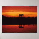 Search for sunset silhouette posters Reflection