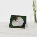 Search for anthuriums cards White