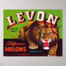 Search for melons posters Advertising