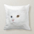 Search for odd cushions White