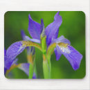 Search for iris mousepads Nature