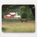 Search for red barn mousepads Nature