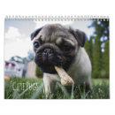 Search for pug calendars Black