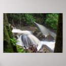 Search for drake posters Nature
