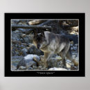 Search for wolf lovers posters Canis lupus