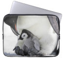Search for penguin laptop cases Antarctica