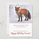 Search for fox cards Nature