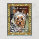 Search for yorkie pet memorials Puppy