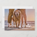 Search for beach dog invitations Ocean