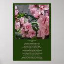 Search for melody posters Cool
