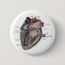 Search for anatomically badges Medical