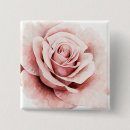 Search for pink rose badges Flowers