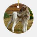 Search for pony christmas tree decorations Wild
